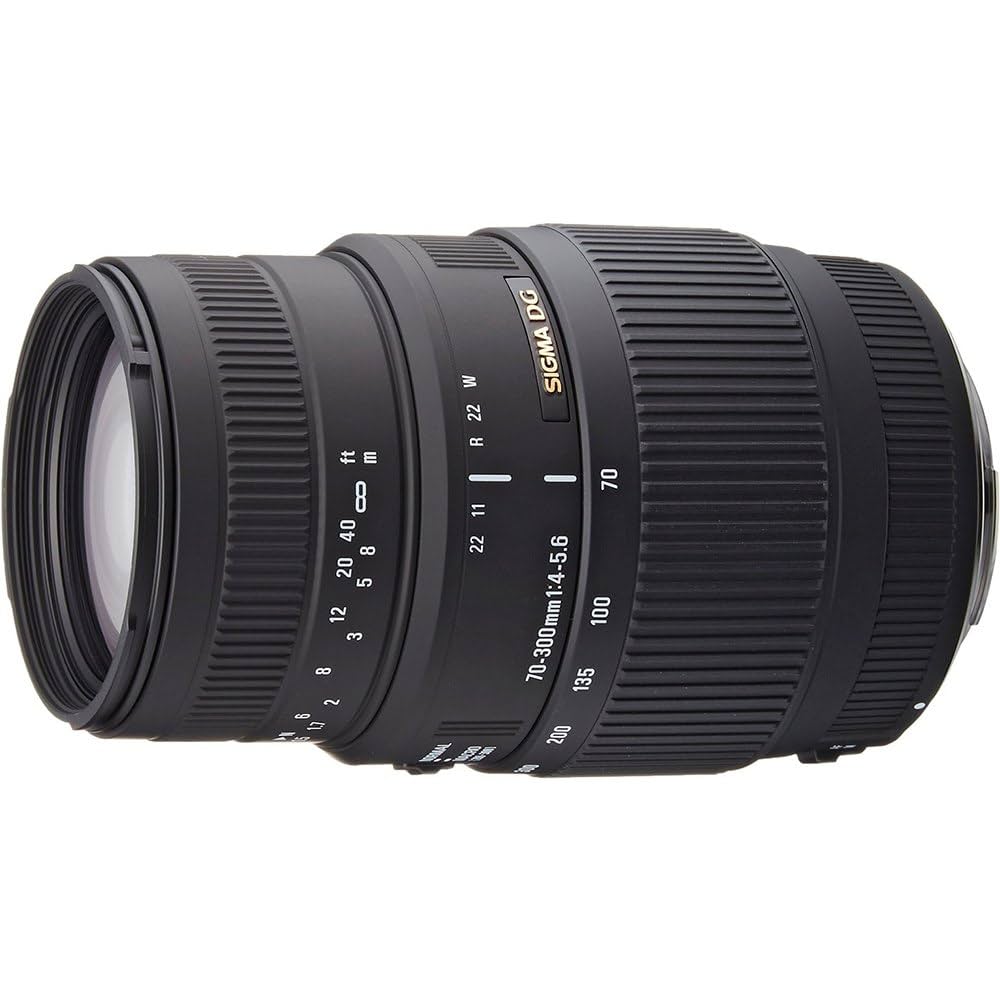 Sigma 70-300mm F/4-5.6 DG Macro (Canon)
