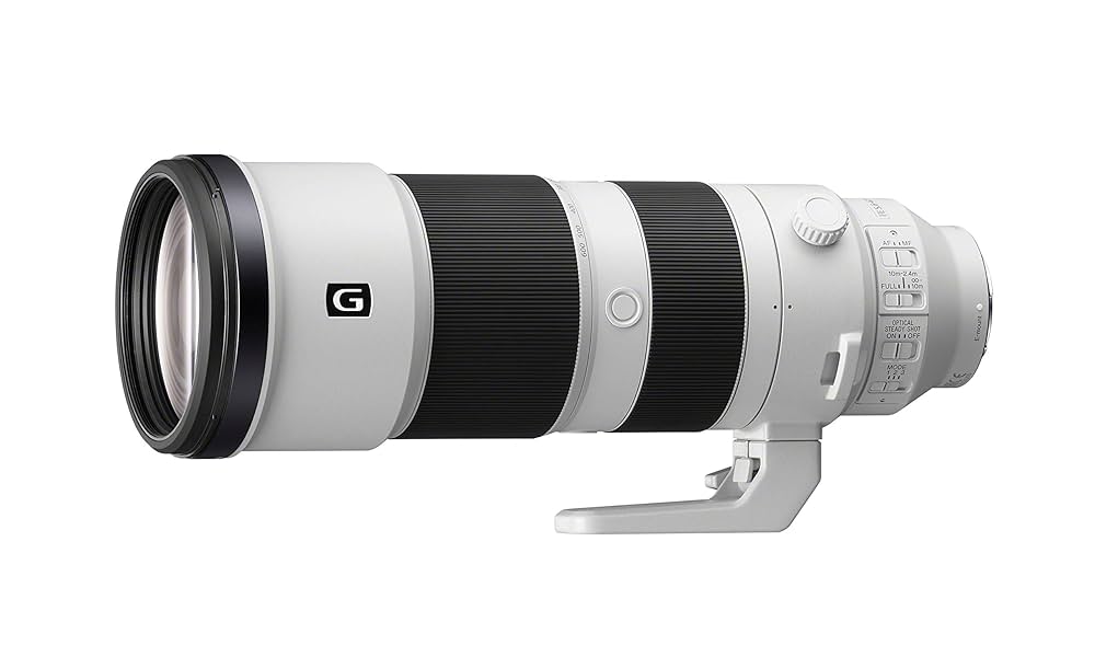 Sony FE 200-600mm f/5.6-6.3 G OSS